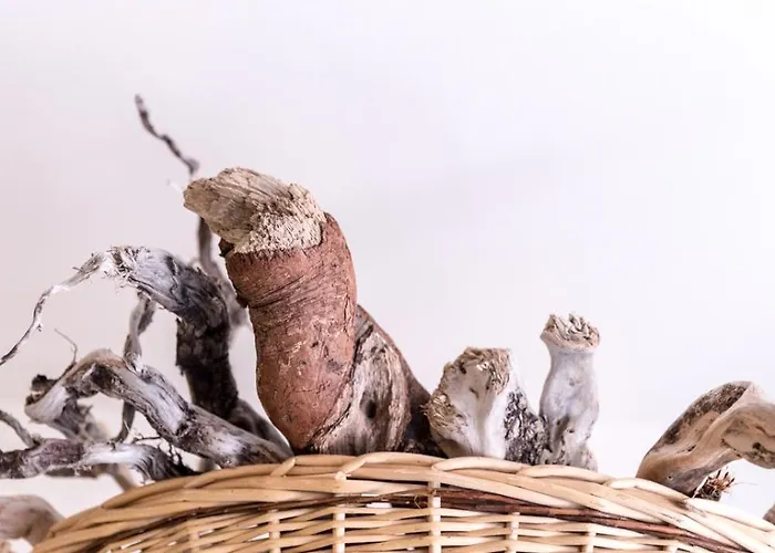 Nel Cuore Del Centro Storico Di *