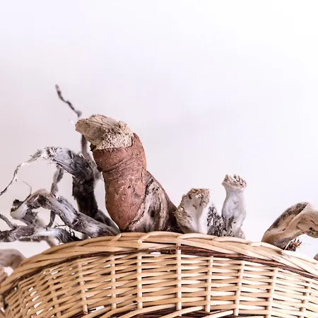 Nel Cuore Del Centro Storico Di *